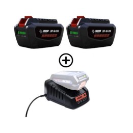 Kit comprenant 2 batteries LBP56V250 226 Wh 5 Ah + 1 chargeur rapide ECHO DBC-560 56 V | Newgardenmac.com