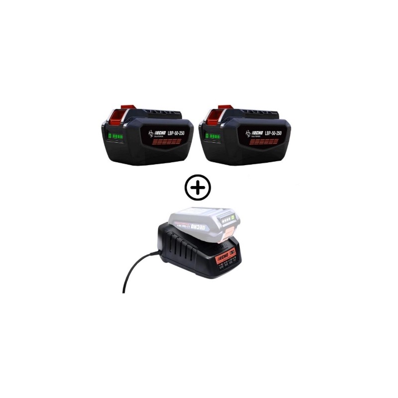 Kit comprenant 2 batteries LBP56V250 226 Wh 5 Ah + 1 chargeur rapide ECHO DBC-560 56 V