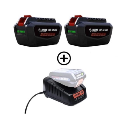 Kit comprenant 2 batteries LBP56V250 226 Wh 5 Ah + 1 chargeur rapide ECHO DBC-560 56 V | Newgardenmac.com