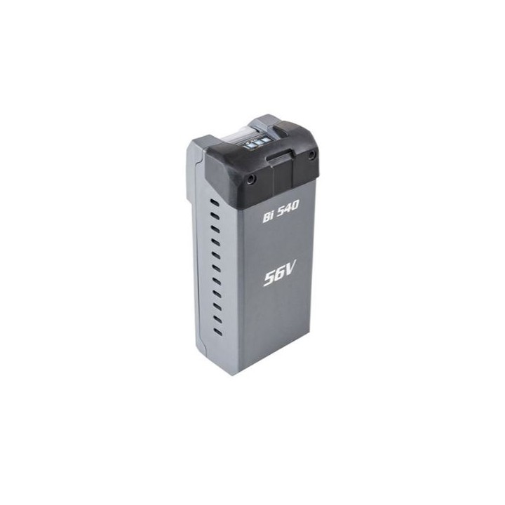 BATTERIE 54300002 ORIGINAL Oleo-Mac | Newgardenmac.com
