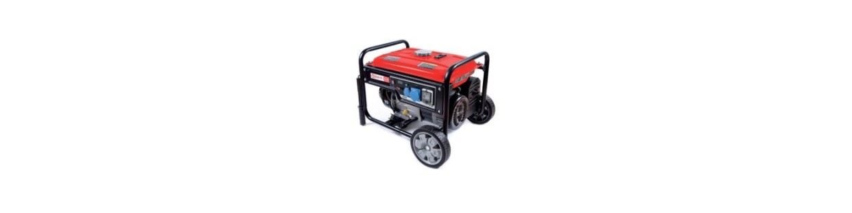 Sale Generators on-line - Machinery Garden | Shop on line: low prices | Newgardenmac.com